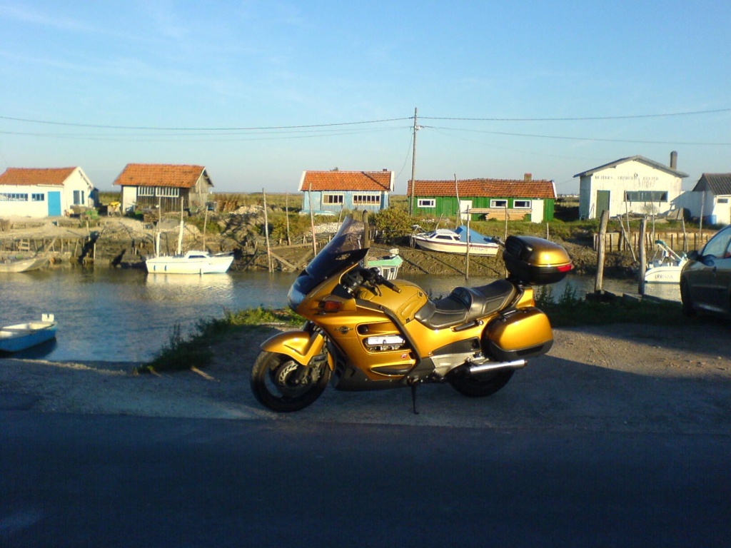 DSC00435.JPG