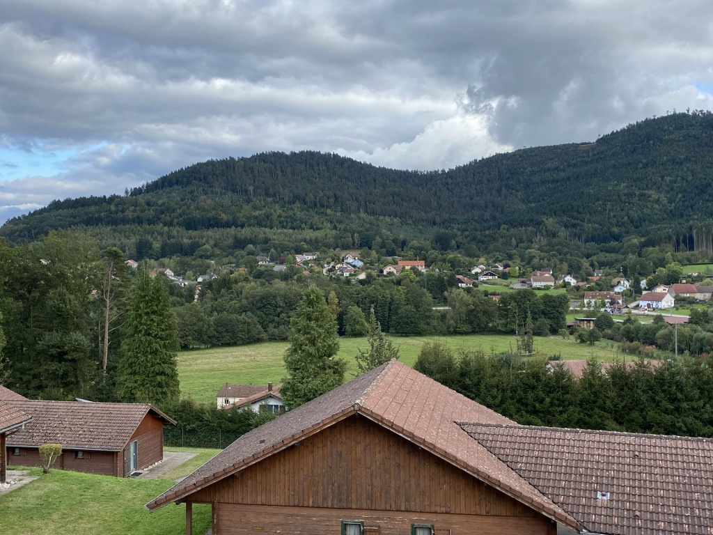 IMG_3453.JPG IMG_3453.JPG