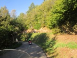 IMG_4278.JPG