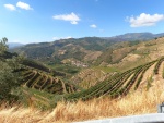H (10) Les vignes vers la Vallée du Douro.JPG