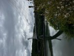 image6.jpeg