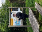 image7.jpeg