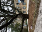 image8.jpeg