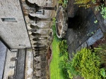image9.jpeg