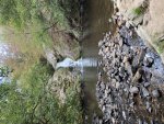 IMG_9079.jpeg