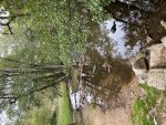 IMG_9080.jpeg