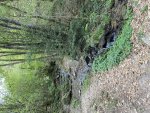 IMG_9083.jpeg