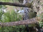 IMG_9085.jpeg